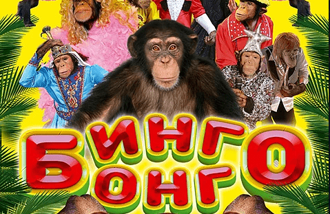 &Bcy;&Icy;&Ncy;&Gcy;&Ocy; &Bcy;&Ocy;&Ncy;&Gcy;&Ocy;